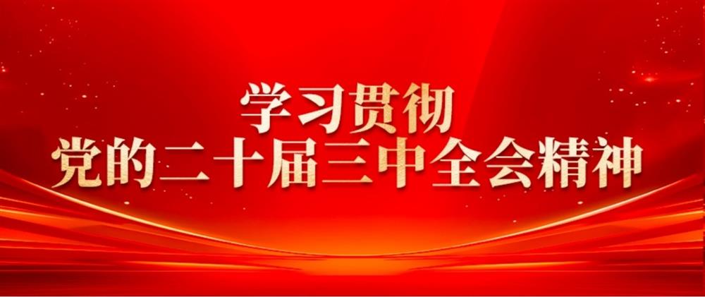 學習貫徹黨的二十屆三中全會精神② 產發園區集團董事長劉孝萌：抓好“建、招、儲、運”,建設高質量產業園區